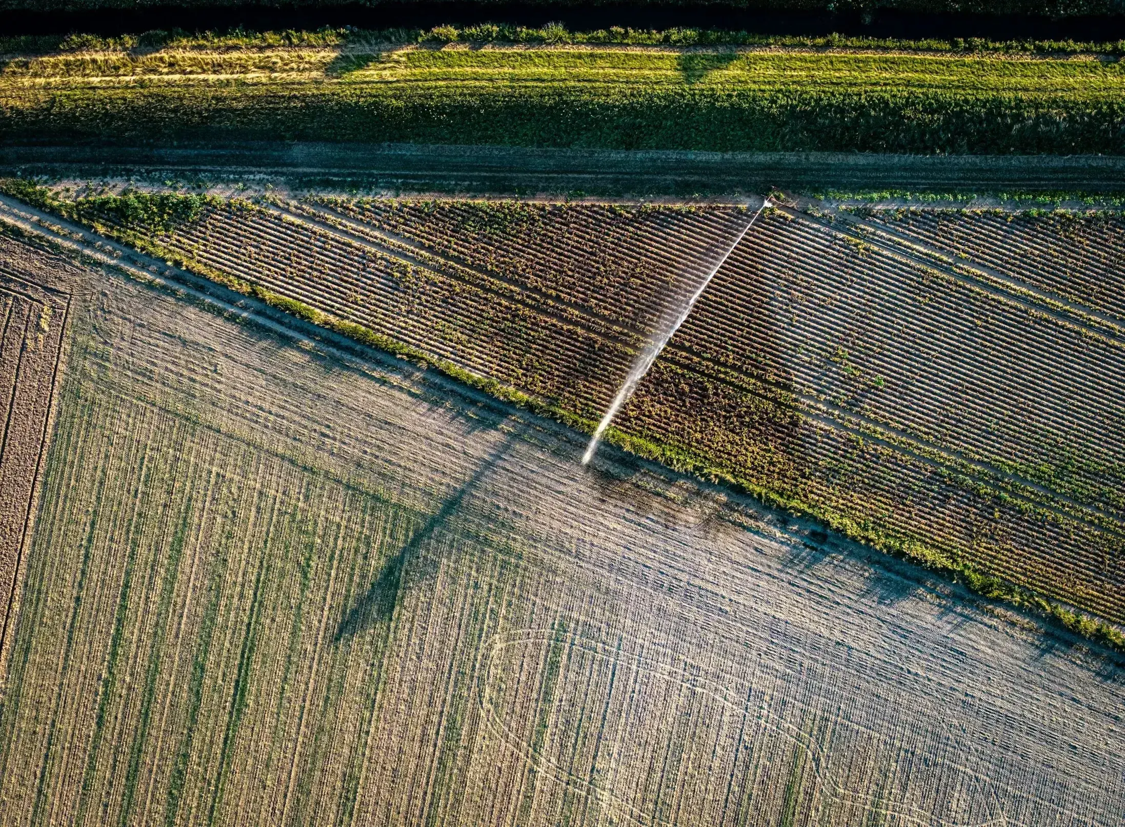 Hydraulic & Irrigation Infrastructure